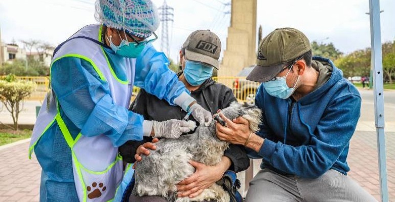 ¿Por que llevar a mi mascota al Veterinario?