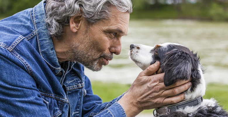 ¿Los animales se entienden cuando se comunican como nos entendemos las personas?