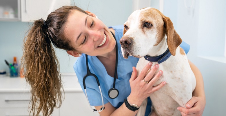 Los Países Bajos tiene una gran escasez de veterinarios