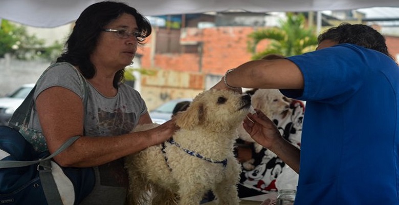 Cinco clínicas veterinarias que trabajan las 24 horas en Caracas