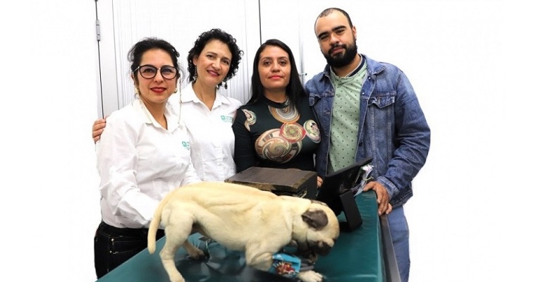 Crean un modelo biomecatrónico de un perro «capaz de revolucionar la enseñanza de la medicina veterinaria»