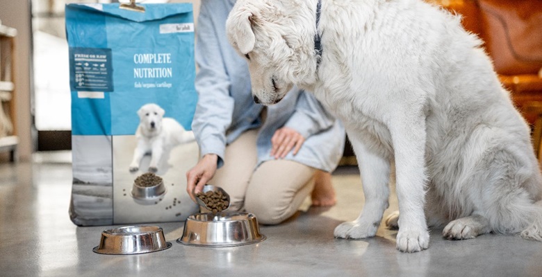 Resaltan la importancia de probar distintas dietas en el manejo dietético exitoso de la enteropatía crónica canina