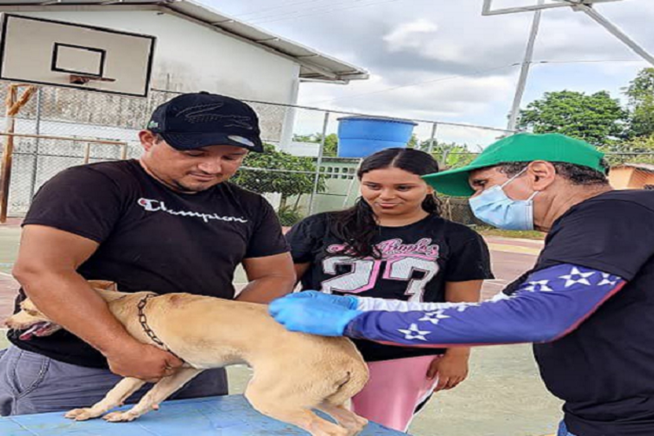 Jornada veterinaria integral impulsa la protección animal en Mérida