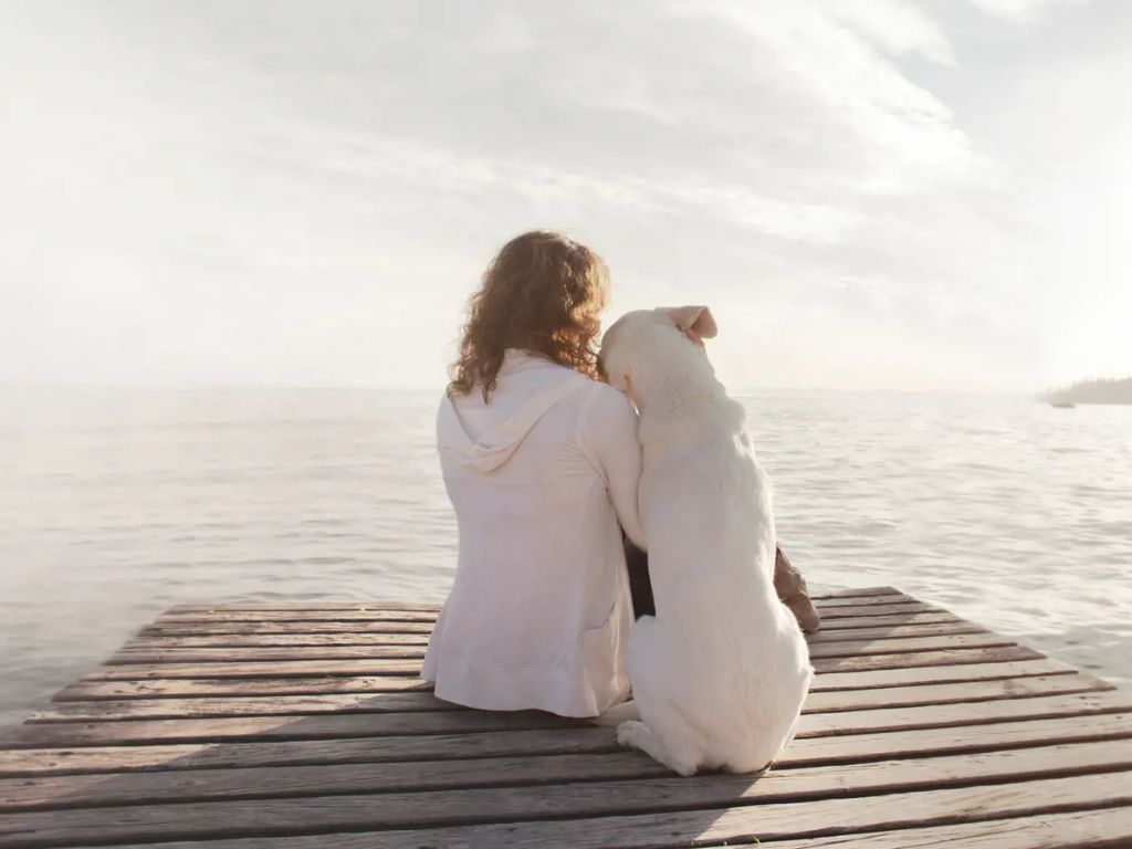 Diez razones por las que los perros son los mejores amigos del hombre